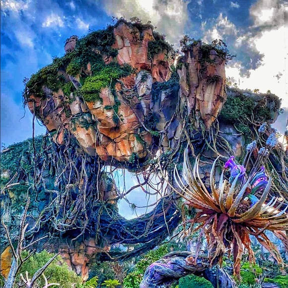 Meet your Posher, Marjorie - Picture 1 of 1